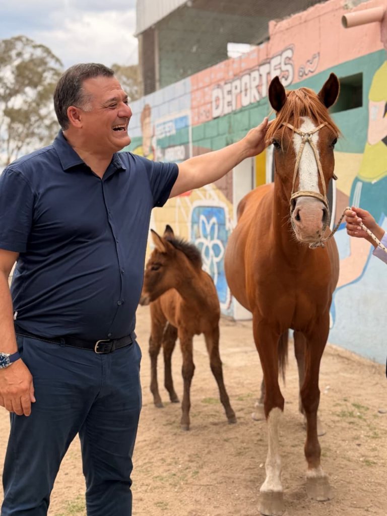 WhatsApp Image 2025-11-01 at 13.04.24