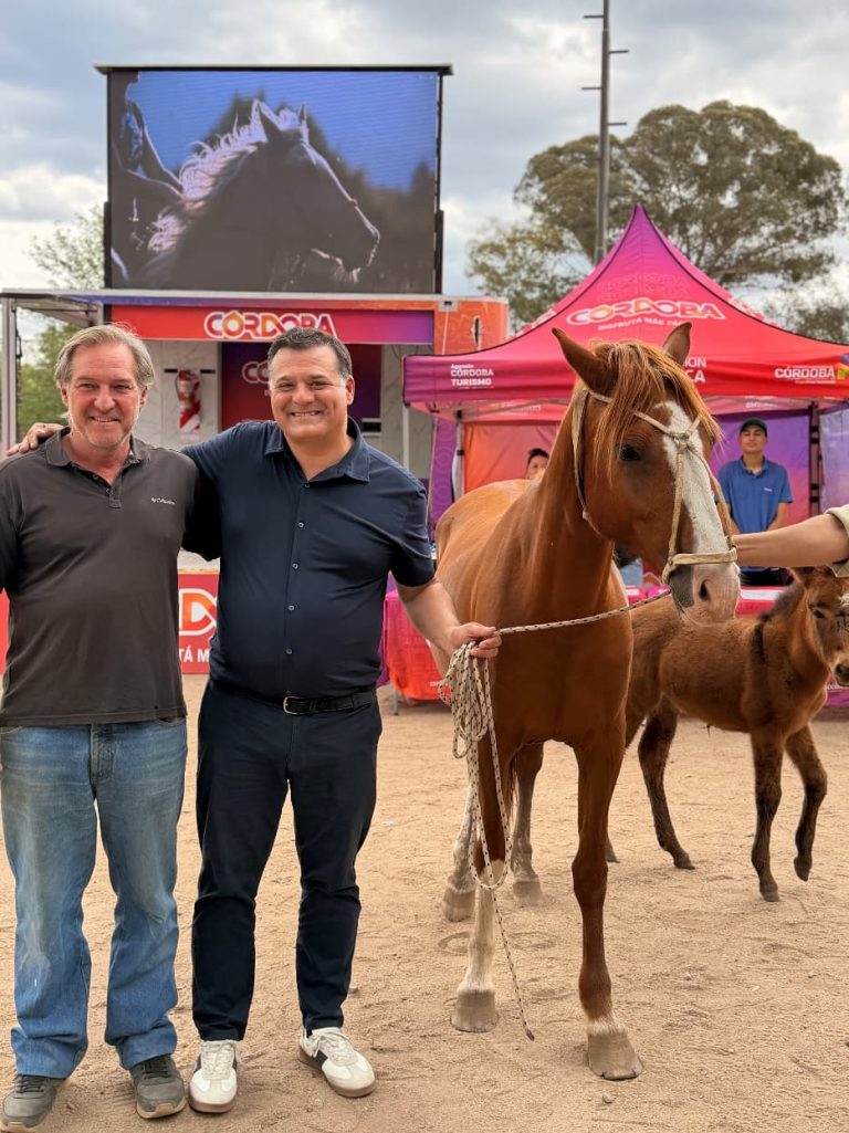 WhatsApp Image 2025-11-01 at 13.28.47