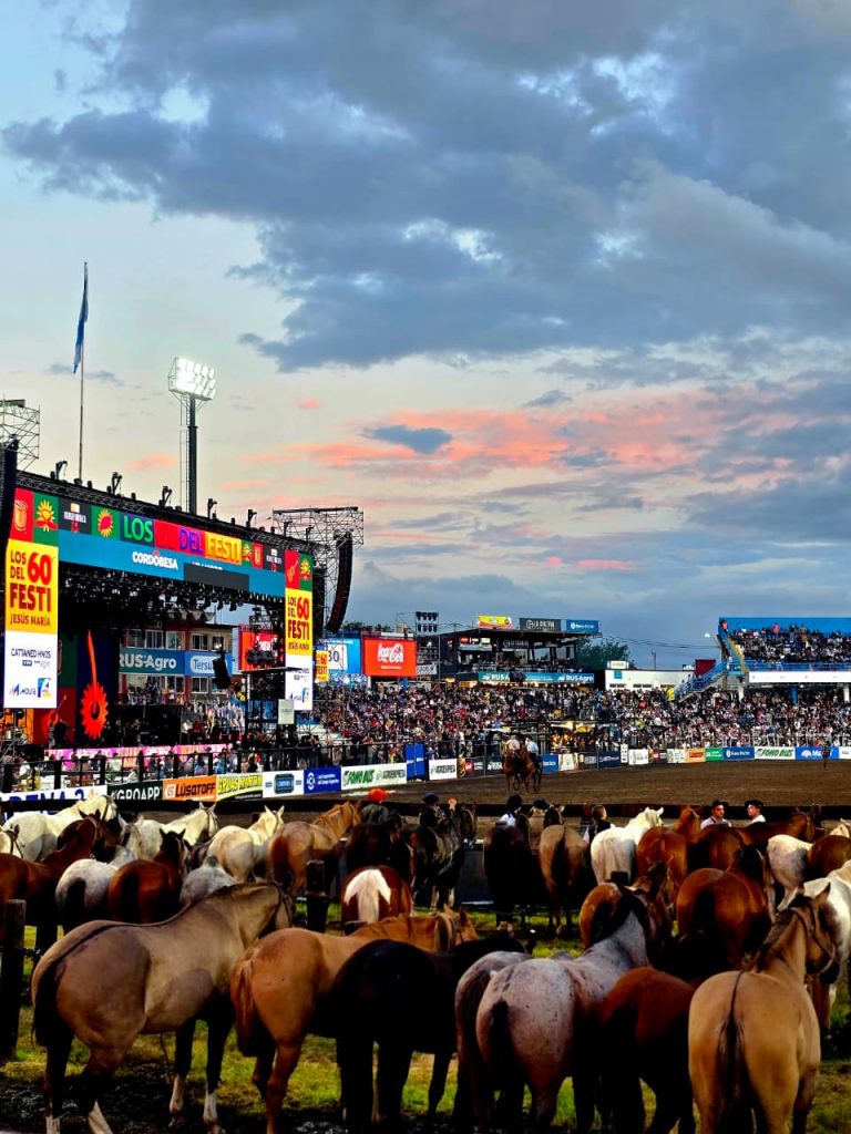 WhatsApp Image 2026-01-10 at 10.13.41