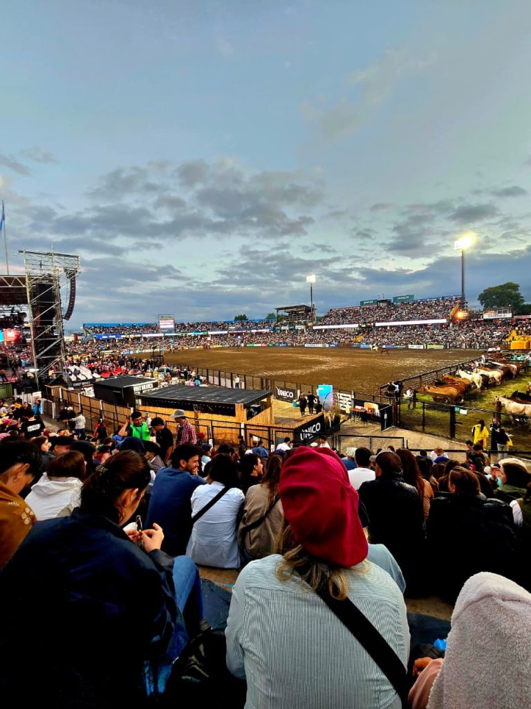 WhatsApp Image 2026-01-10 at 10.13.44